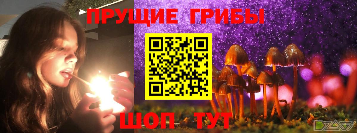 Галлюциногенные грибы Psilocybine cubensis Зеленокумск