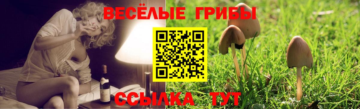 Галлюциногенные грибы Psilocybine cubensis  Вход с VPN  Зеленокумск 